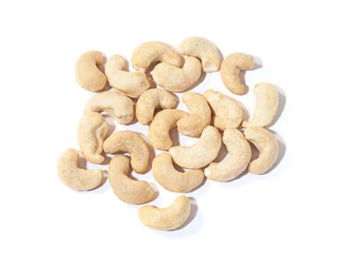 Cashew Nut 20-22