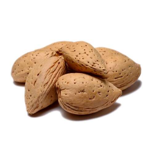 Almond with Shell