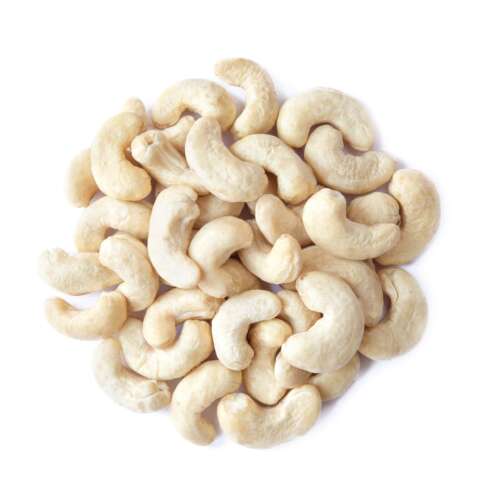 Cashew Nut s:240