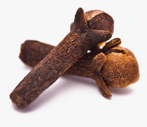 Cloves India