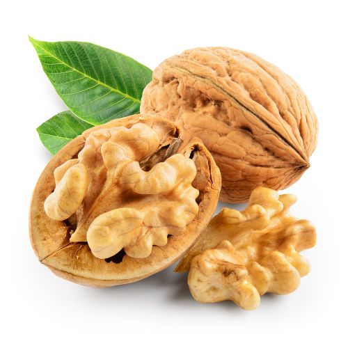 Walnut US